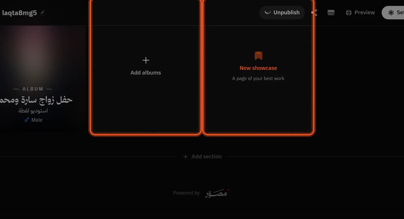 The editor's albums section, with the New showcase and Add albums cards highlighted