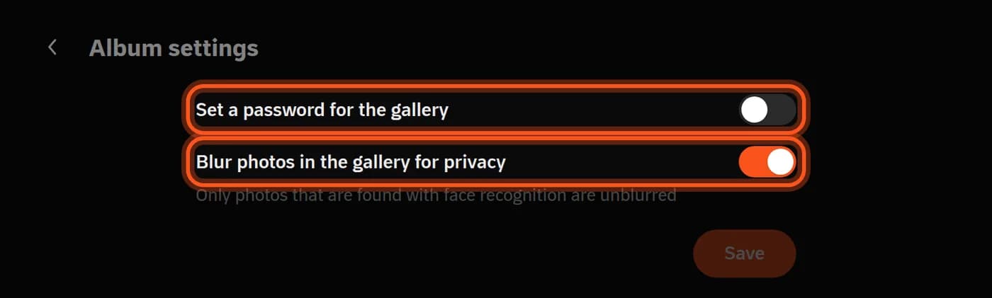 The Privacy tab, with the password and blur switches highlighted